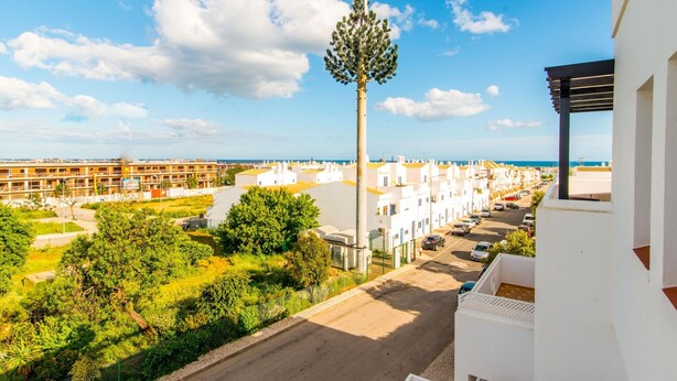 A residential area with white buildings, a tall tree, and a clear blue sky. - Quinta Velha Apartamento T1 Piscina e A C (Tavira)
