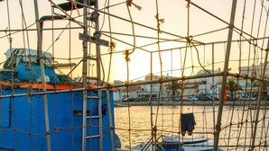 Un barco con cabina azul y cerramiento de malla, amarrado en un puerto con edificios al fondo.