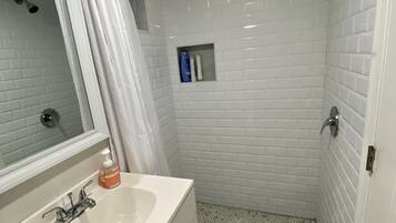 Combined shower/tub, hair dryer