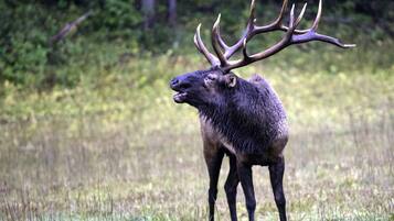 Studio (3 Bedrooms) | Kemudahan hartanah