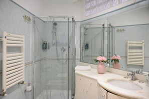Shower, hair dryer, bidet, towels