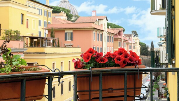 Ein Balkon mit Terrakotta-Pflanzgefäßen mit roten Blumen, Blick auf eine Straße mit Gebäuden und einer Kuppel im Hintergrund.