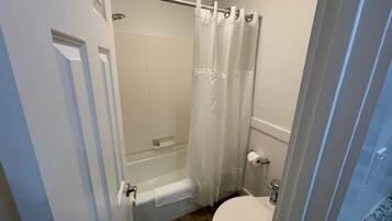 A bathroom with a shower, toilet, and a door leading to another room.