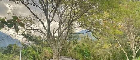 Basic Chalet, Courtyard View | Free WiFi