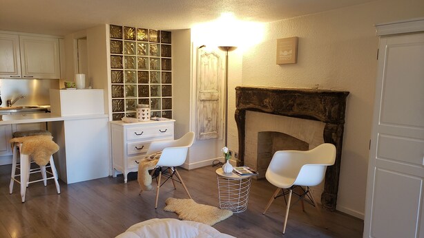 Une pièce compacte et bien éclairée, dotée d’une kitchenette, d’une cheminée et d’un coin salon confortable.