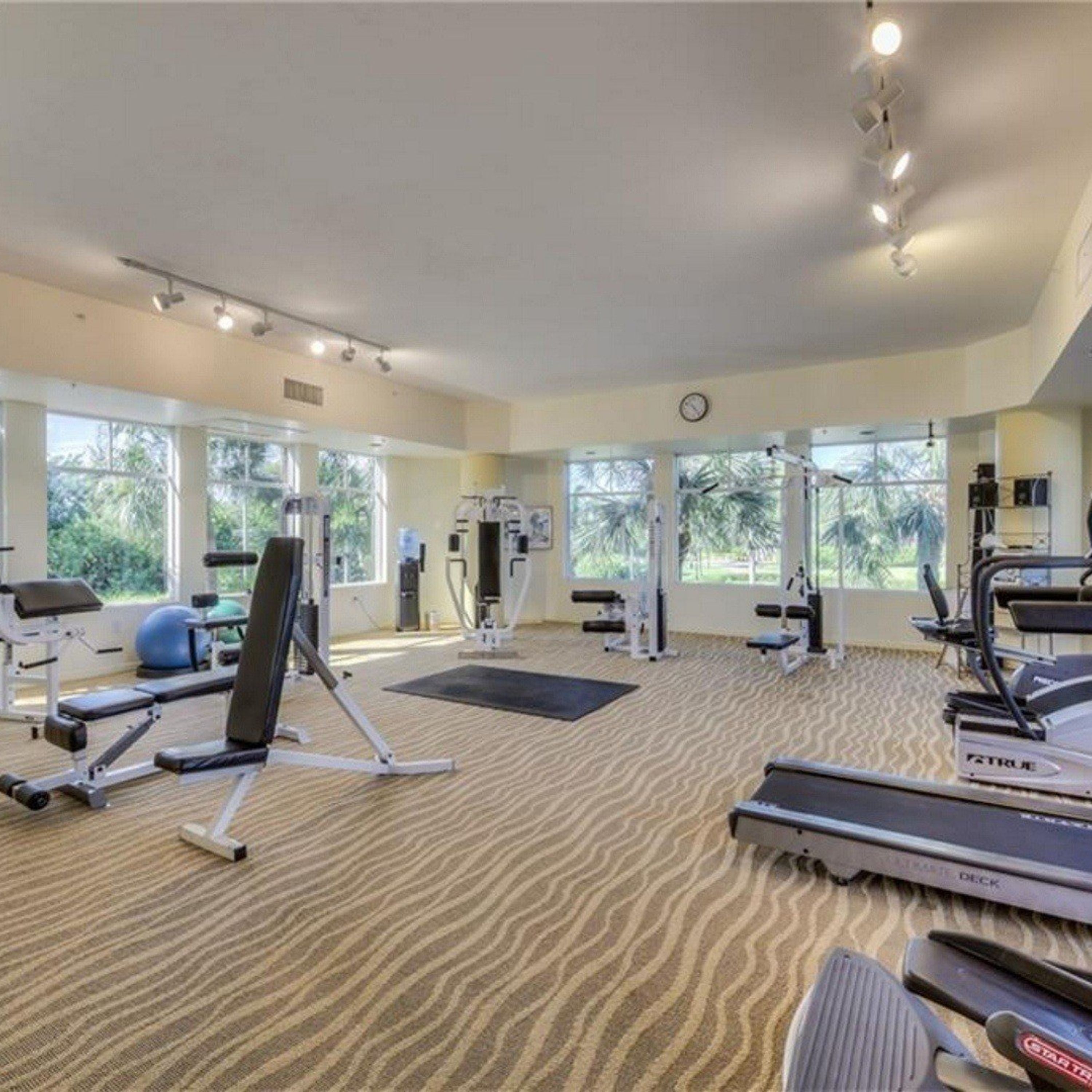 Een ruime fitnessruimte met diverse trainingsapparaten, grote ramen en een kamerbreed tapijt.