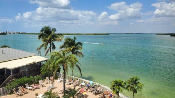 A beachside view with palm trees, a clear sky, and a calm sea. - Southern Comfort in Bonita Springs (Fort Myers Beach)