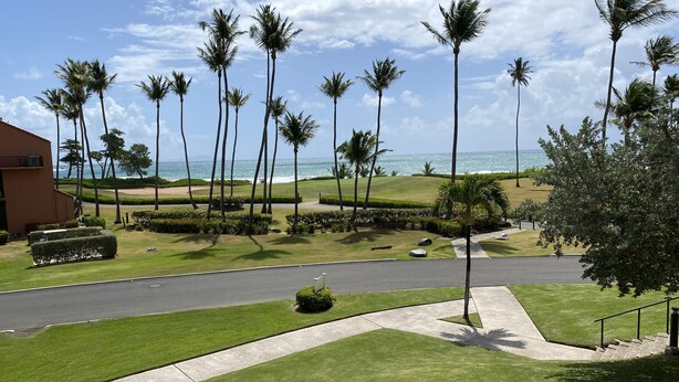 A well-maintained lawn with palm trees, a road, and a view of the ocean. - Oceanview Villa - Steps Away from the Beach / Palmas del Mar Resort. (Palmas del Mar)