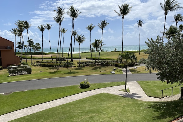 Front view of the beach