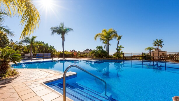 A clear blue pool with tiled steps, surrounded by palm trees and a clear sky.