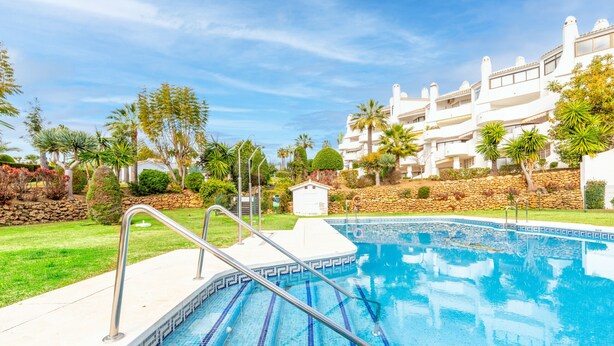 Una piscina con borde de piedra, rodeada de césped cuidado y palmeras.