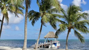 A beach with palm trees, a thatched-roof hut, and a boat docked on the sand. - Tara Del Sol (San Pedro)