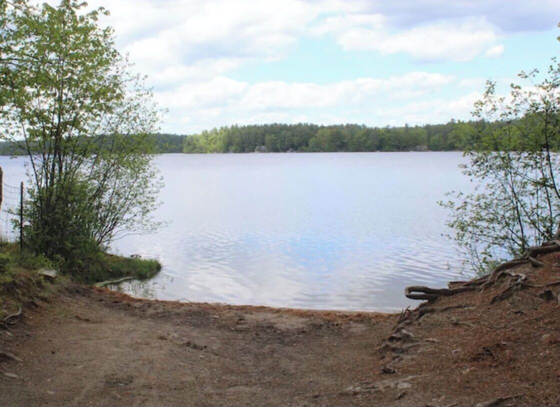 Un lac aux rives sablonneuses, bordé d’arbres.