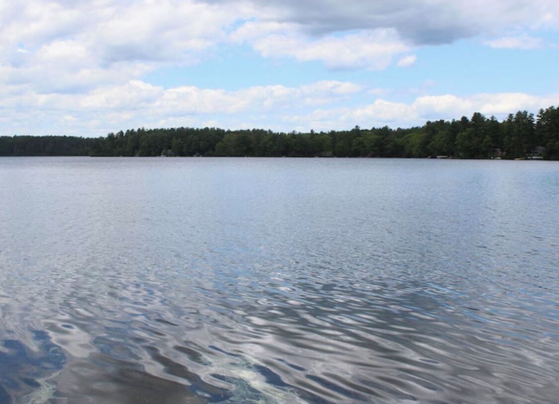 A calm lake with a forested shoreline.