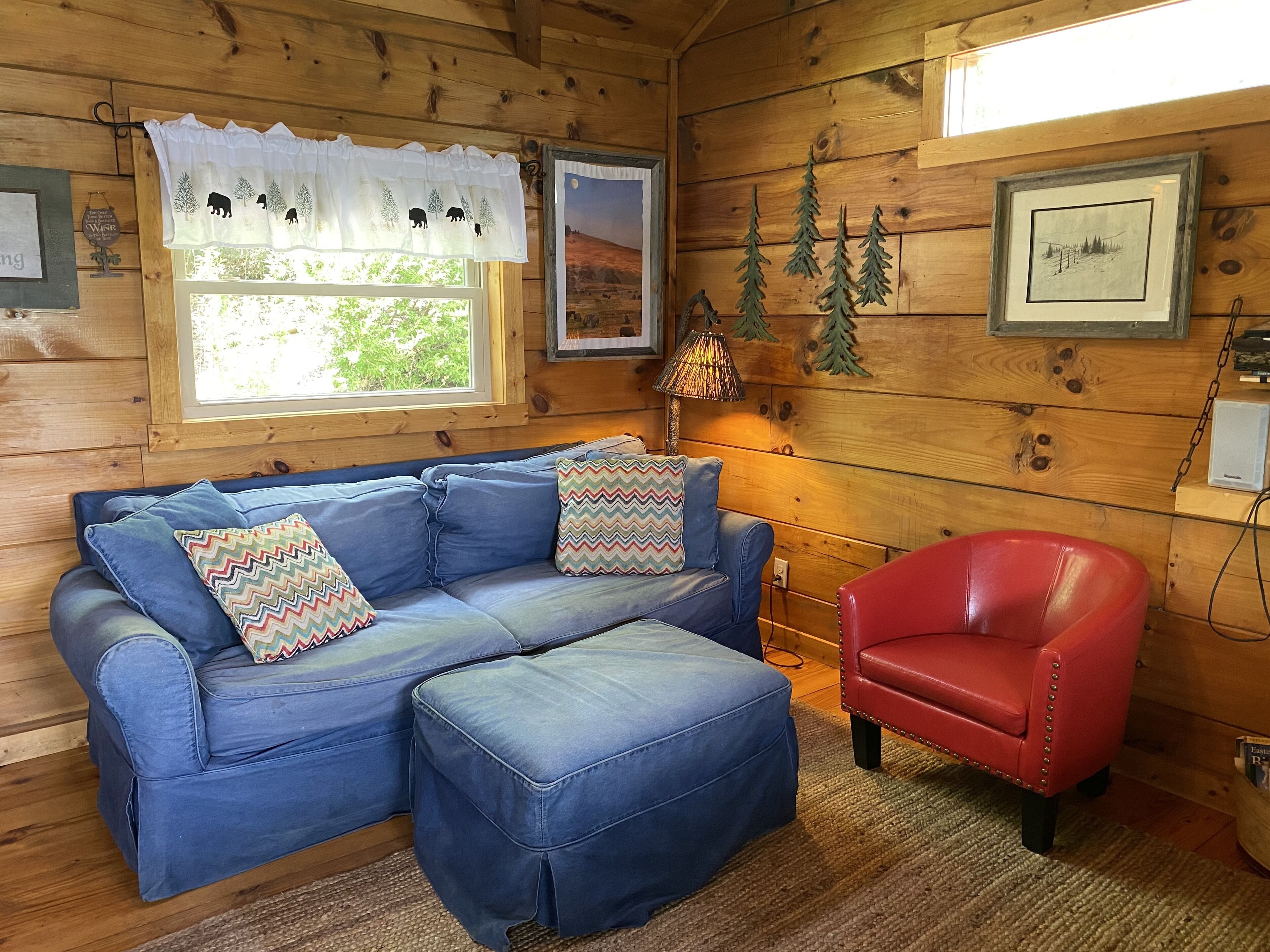 TV, fireplace, DVD player, books