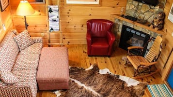 TV, fireplace, DVD player, books