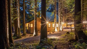 Una cabaña en un bosque, con un sendero de tierra que conduce a ella, rodeada de árboles altos e iluminada por luces exteriores.