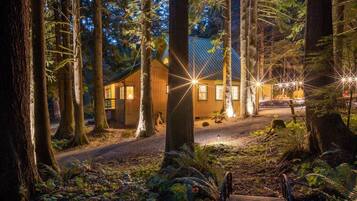 A cabin in a forest with a dirt path leading to it, surrounded by tall trees and illuminated by exterior lights.