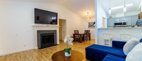 Smart TV, fireplace, books
