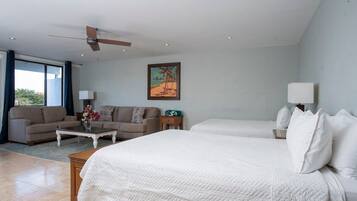 Iron/ironing board, WiFi (free), bed sheets