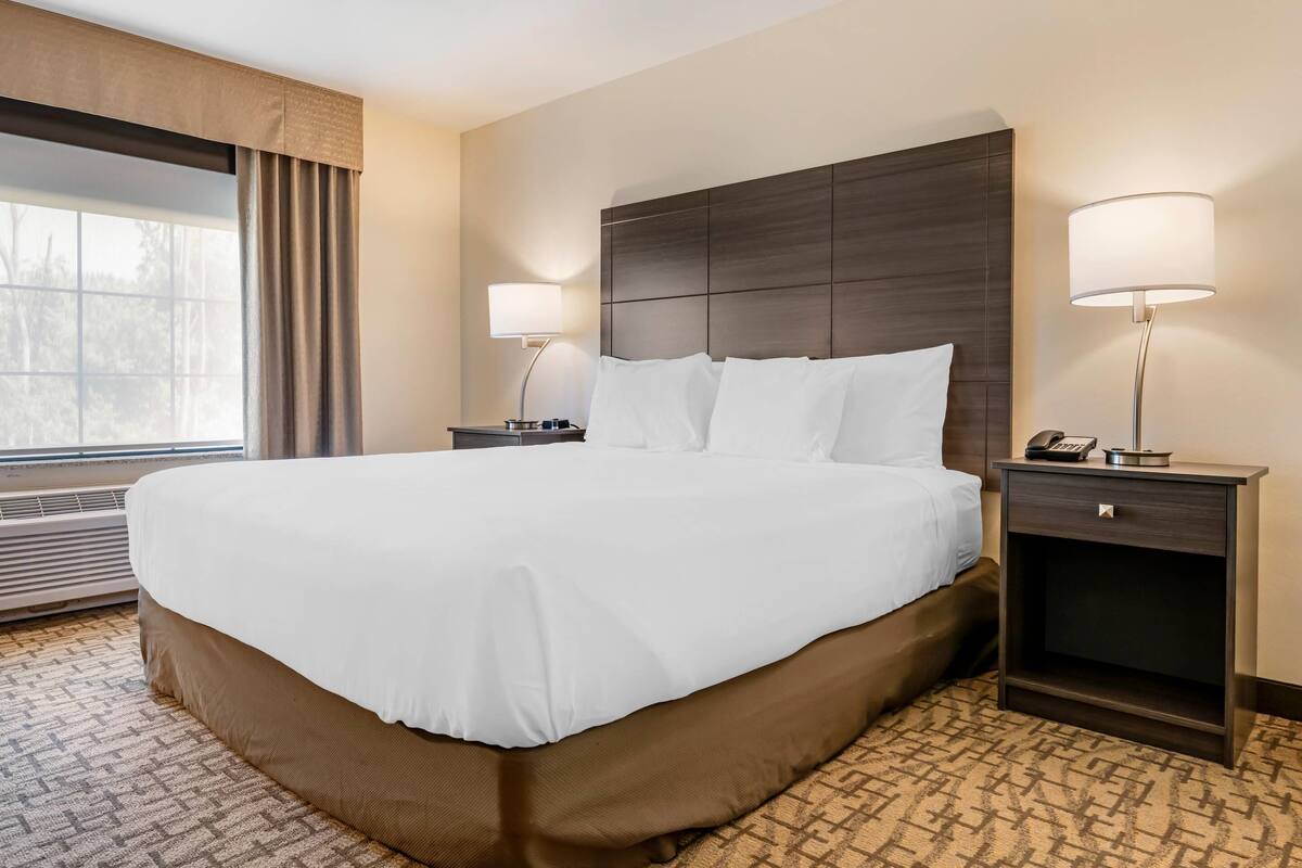 Room, 1 King Bed, Accessible, Non Smoking