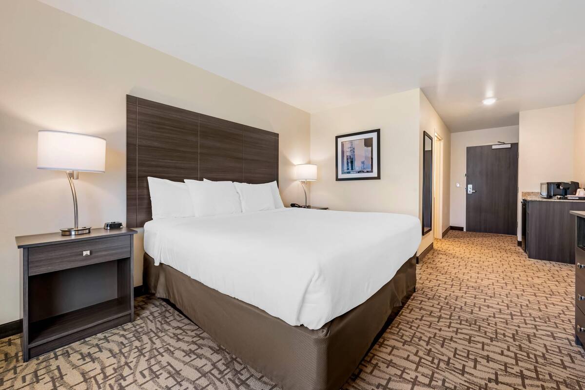 Standard Room, 1 King Bed, Non Smoking