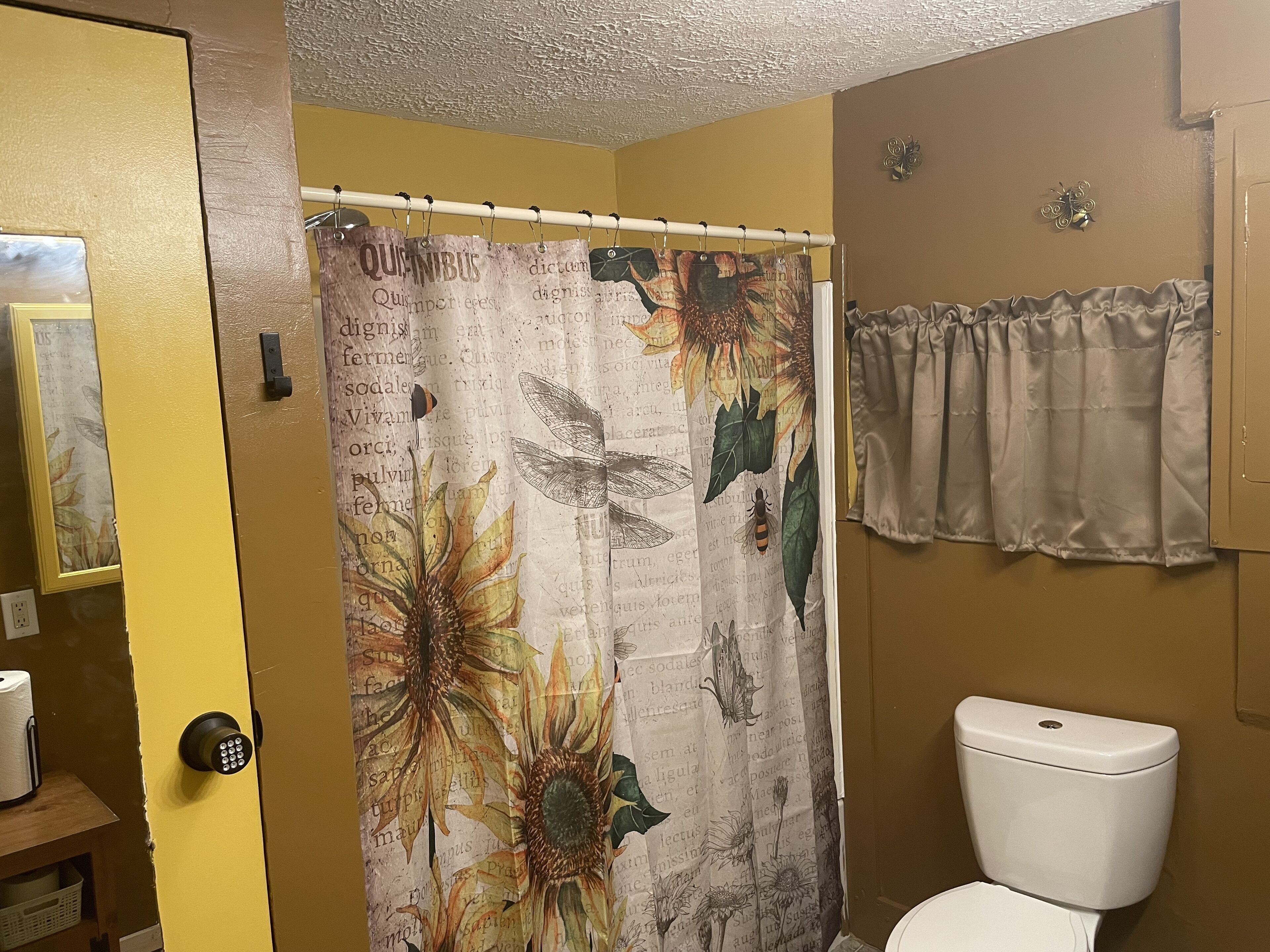 Combined shower/tub, soap, toilet paper