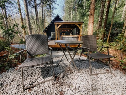 Wits End Retreat @ Mt. Rainier - Hot Tub & WiFi