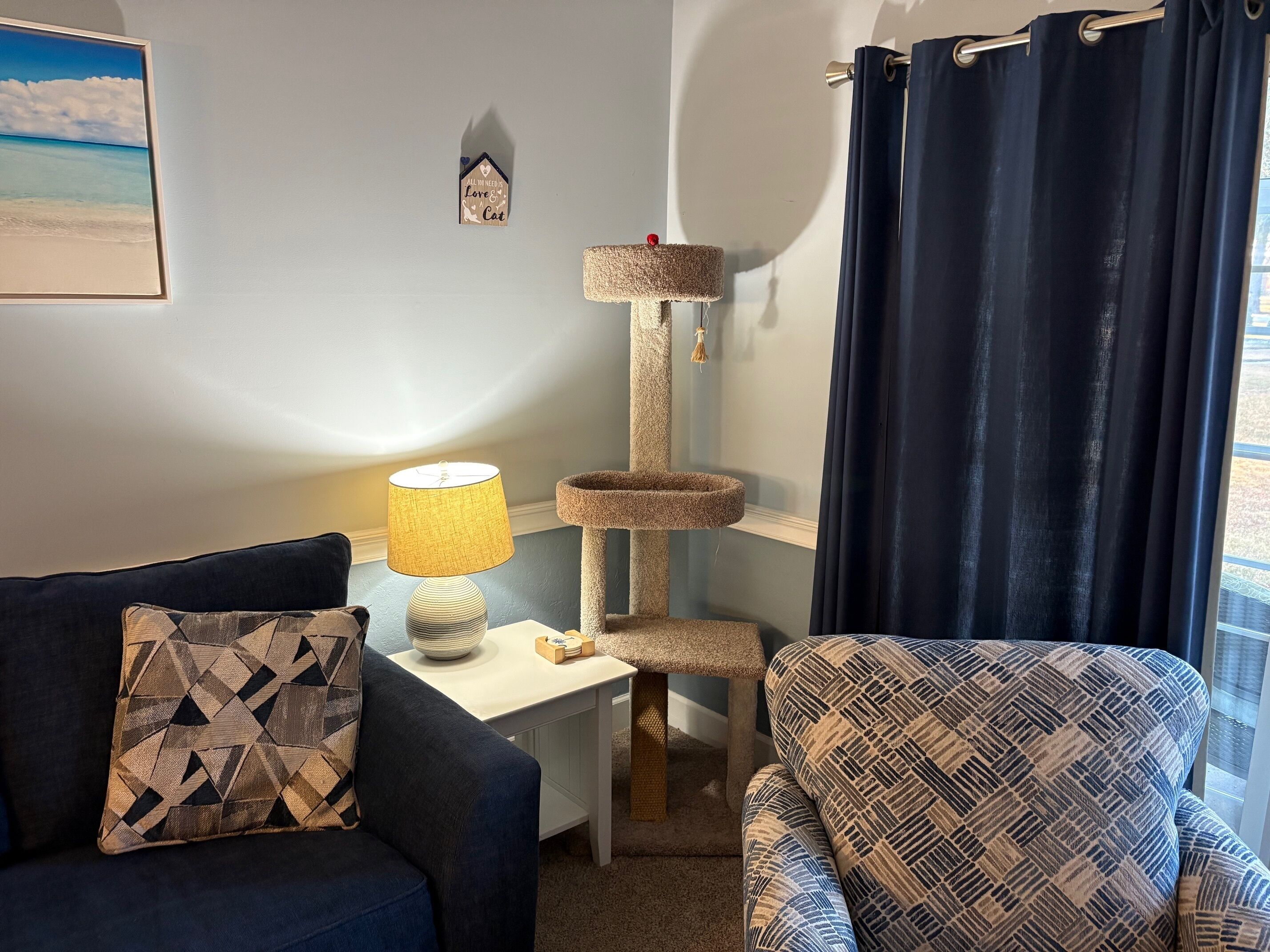 Ein Wohnzimmer mit einem blauen Sofa, einem gemusterten Sessel, einer Stehlampe, einem Kratzbaum und einem gerahmten Bild an der Wand.