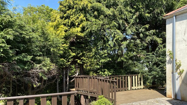 A wooden deck with a railing, surrounded by dense green trees and a stone pathway. - Large beautiful unusual house with lots of character and art on the walls. (Bournemouth)