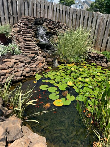 Peaceful escape - 4 bedrooms with backyard oasis.