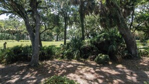 Um jardim exuberante com árvores maduras e folhagem densa.