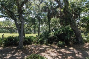 Un giardino rigoglioso con alberi maturi e fitta vegetazione.