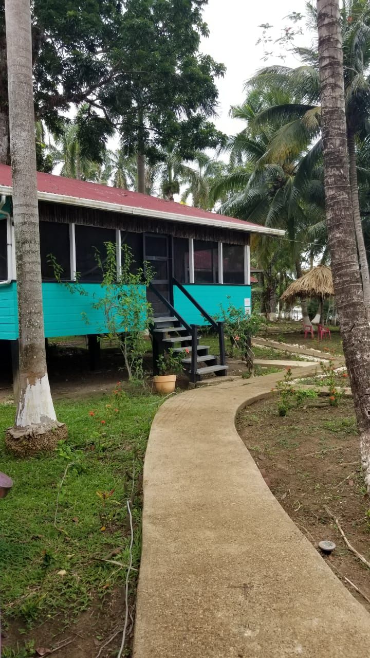 A building with a staircase leading to a covered area, surrounded by greenery and palm trees.
