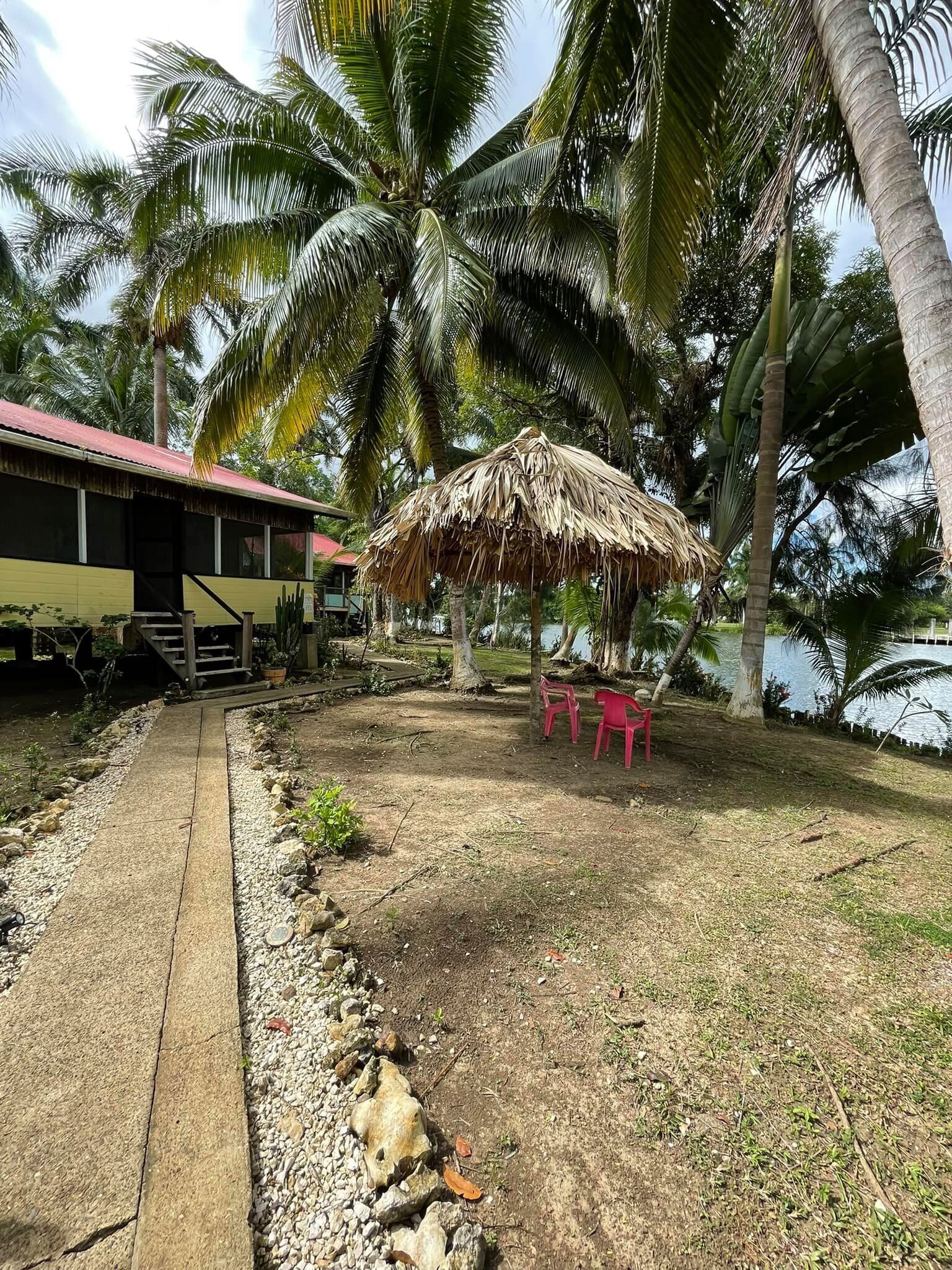 A tropical outdoor area with a thatched umbrella, a small pool, and palm trees.