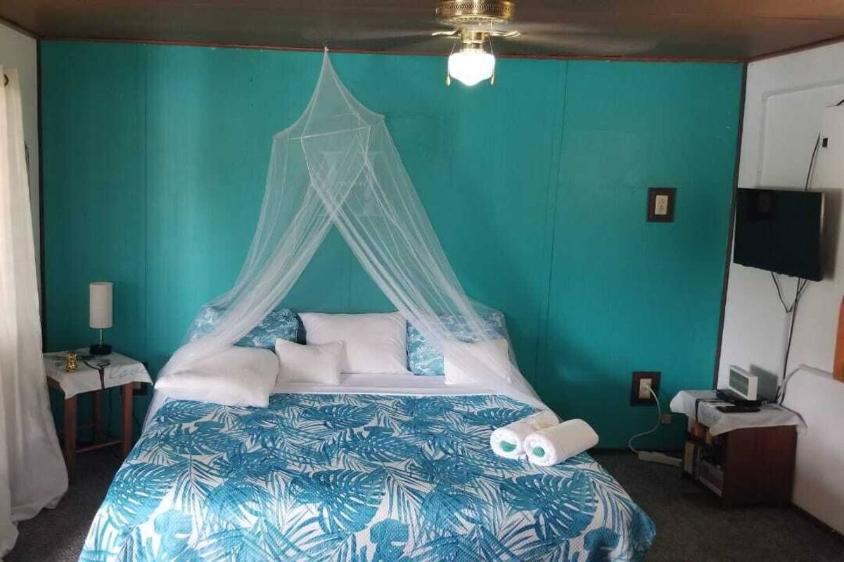 Un letto a baldacchino, un comodino con una lampada e un televisore appeso al muro.