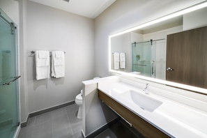A modern bathroom with a glass shower enclosure, a white sink, and a large mirror.