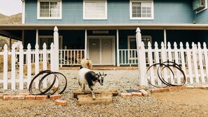 A building with a porch, a sign that reads "GATHER", and a fenced area with a goat. - A Little Blue Farmhouse:TemeculaWine Country Farm (Sage)