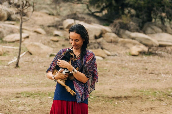 Animaux de compagnie acceptés