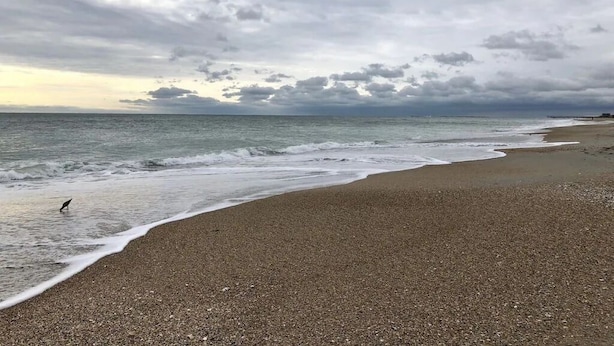 Une plage de galets, avec des vagues.