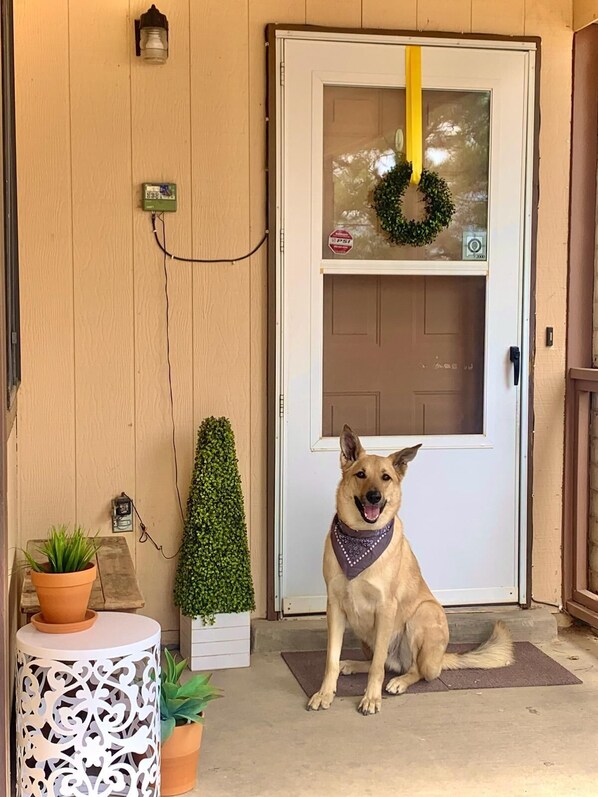 Exterior detail - Dog lover's and dilettante's delight! (Rio Rancho)