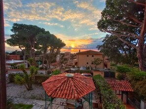 Stroll through a serene garden surrounded by a variety of trees and shrubs, with a charming gazebo and unique homes in the background.