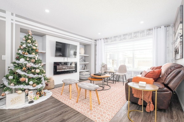 Smart TV, fireplace, books