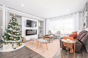 Smart TV, fireplace, books