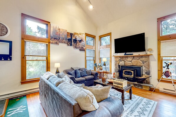 TV, video games, books