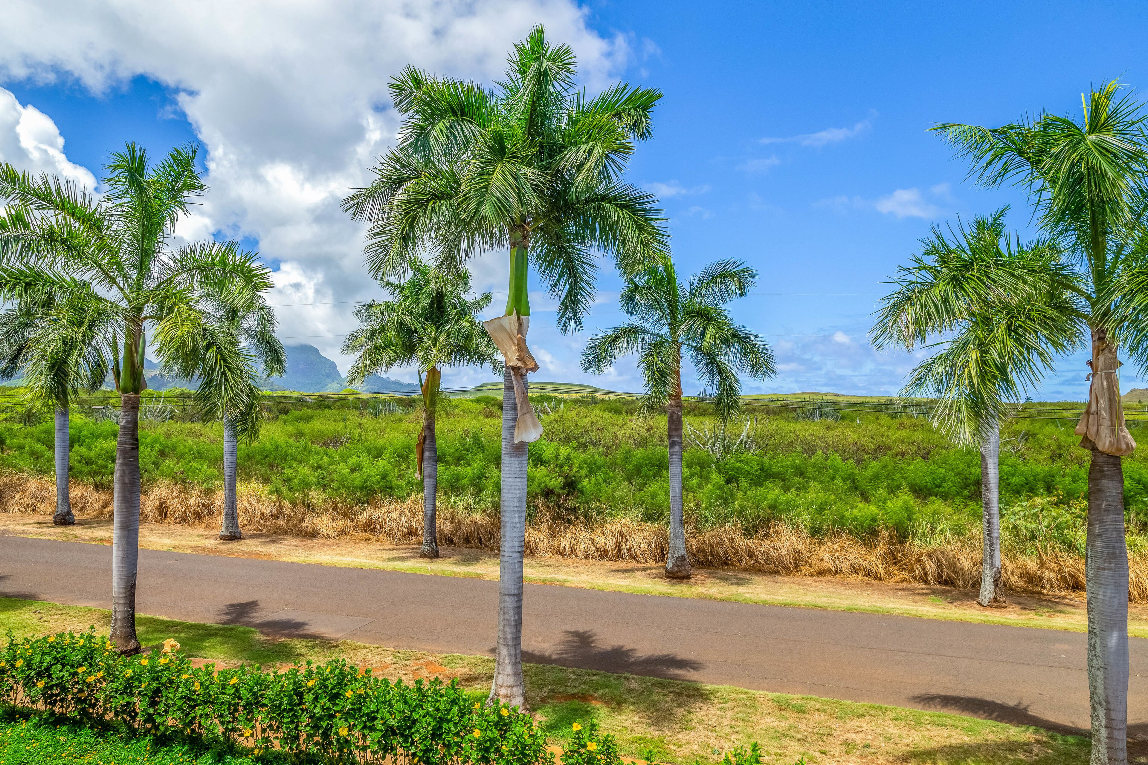 Second-Floor Condo with Gorgeous View, Bikes, Lanai & On-Site Pool/Hot Tub/Gym