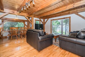 TV connectée, cheminée, chaîne hi-fi