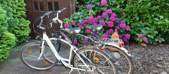 Holiday Home "Am Sielblick in Ditzum" with Garden and Wi-Fi; Pets Welcome