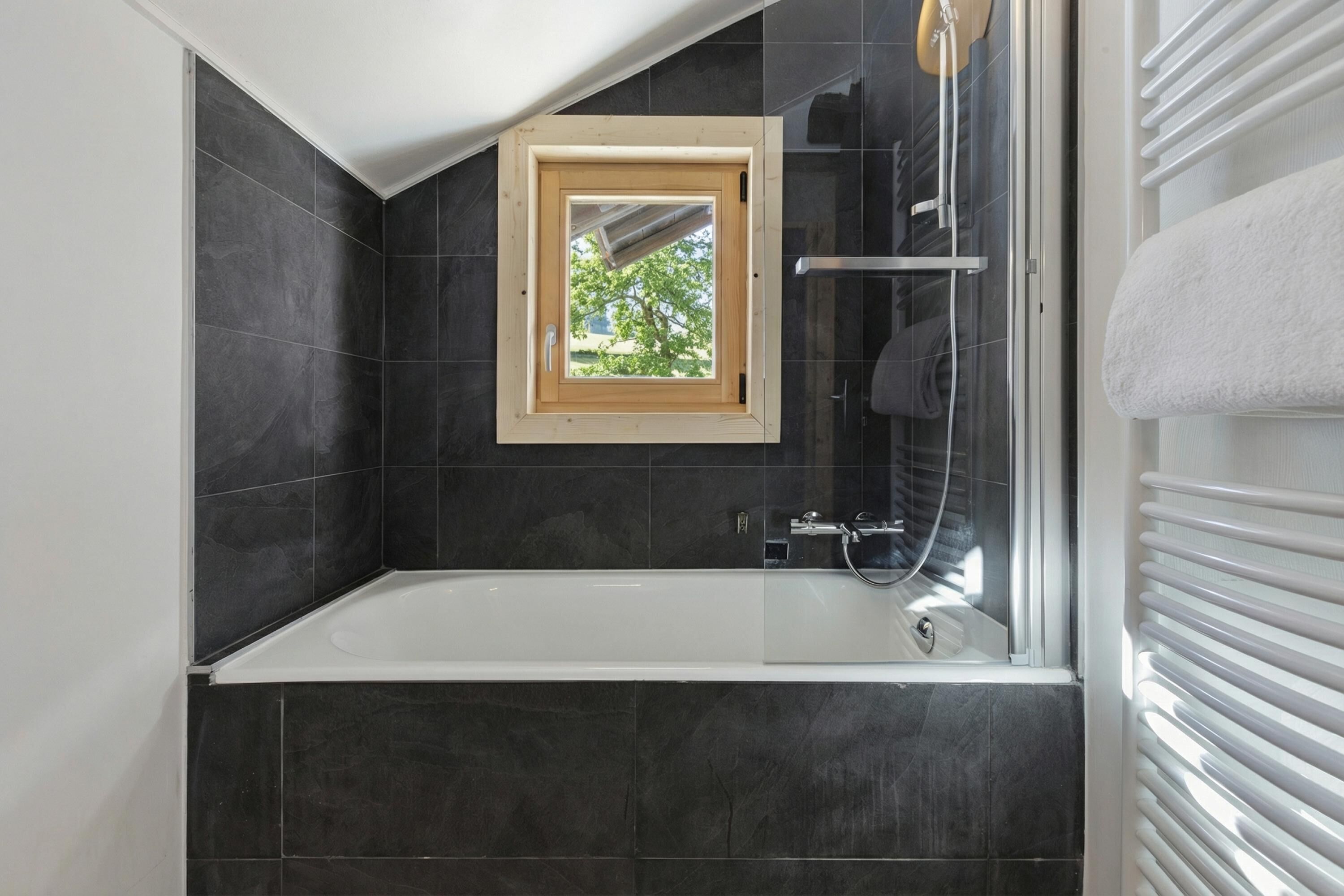 Combined shower/tub, hair dryer, towels