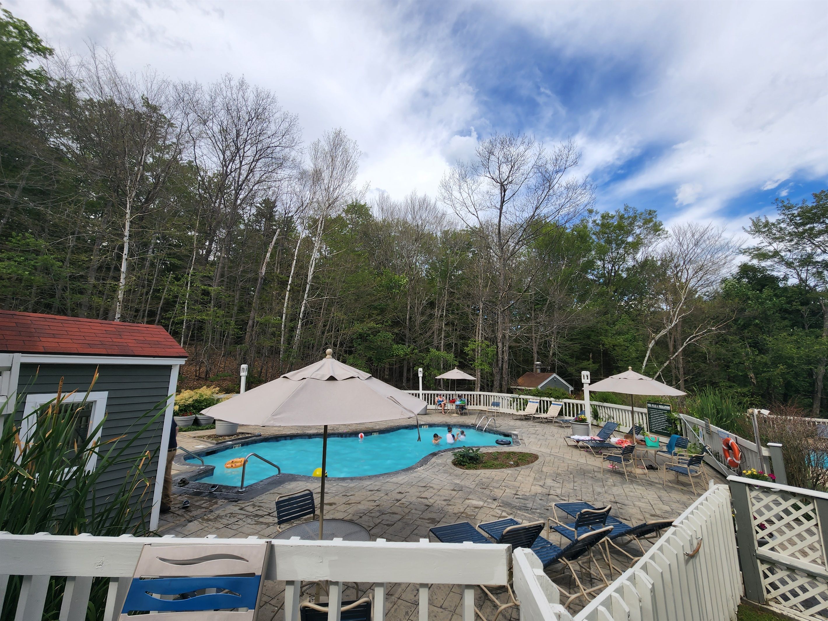 A backyard with a swimming pool, lounge chairs, and umbrellas.